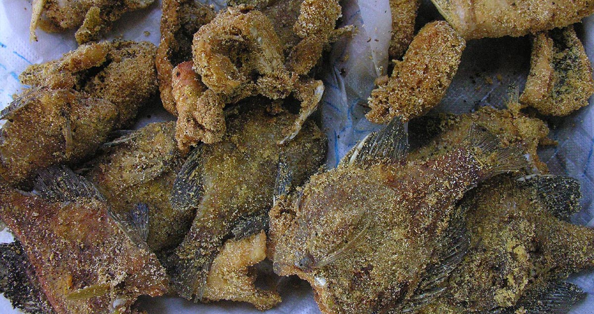 Freshly fried bluegill fillets on a plate.