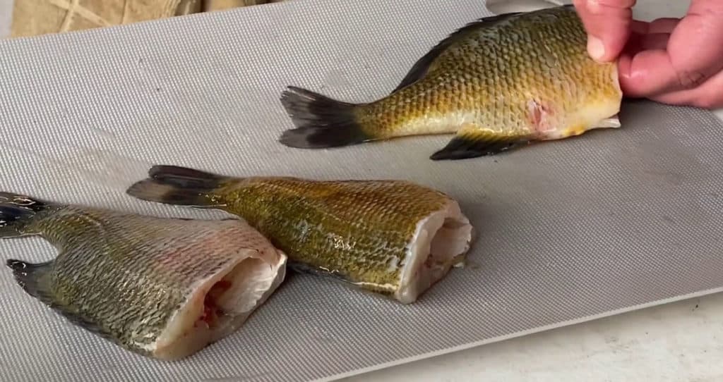 Photo of three bluegill scaled and dressed, ready to cook.