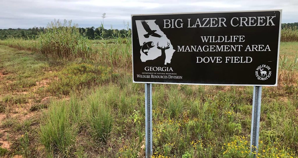 Sign for the Big Lazer Creek WMA dove field.